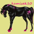 avatar pro kamisek10