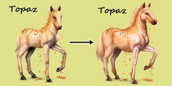 Topaz - hříbě